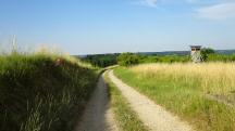  Blick auf die Wanderstrecke 