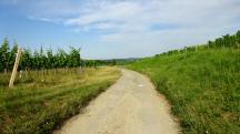  Blick auf die Wanderstrecke 
