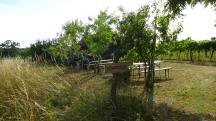  Blick zur Brechelmacher's Ranch - 2. K+L 