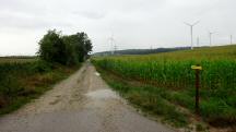  Blick auf die Wanderstrecke 