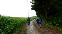  Blick auf die Wanderstrecke 