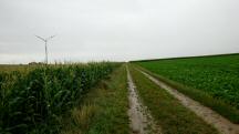  Blick auf die Wanderstrecke 