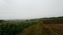  Blick auf die Wanderstrecke 