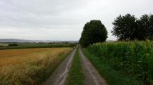  Blick auf die Wanderstrecke nach Maria Jeutendorf 