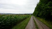  Blick auf die Wanderstrecke nach Maria Jeutendorf 