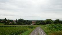  Blick auf die Wanderstrecke nach Maria Jeutendorf 
