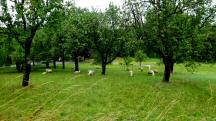  schner Anblick 