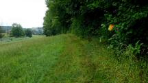  Blick auf die Wanderstrecke 