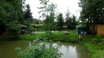  Blick zu schne Fischteiche 