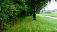 Wanderroute entlang der Perschling nach Kapelln 