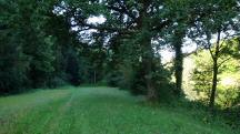  Blick auf die Wanderstrecke entlang der Ybbs 