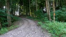  Blick auf die Wanderstrecke 