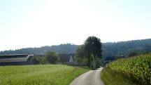  Blick auf die Wanderstrecke beim Weiler Hofa 
