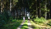  Blick auf die Wanderstrecke 