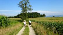  Blick auf die falsche Wanderroute nach Schadendorf 