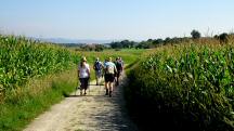  Blick auf die falsche Wanderroute nach Schadendorf 