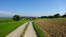  Blick auf die falsche Wanderroute nach Schadendorf 