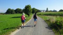  Blick auf die falsche Wanderroute bei Schadendorf 