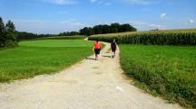  Blick auf die Wanderstrecke 