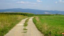  Blick auf die Wanderstrecke 