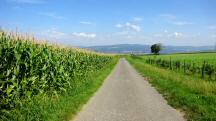  Blick auf die Wanderstrecke nach Winden 