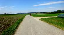  Blick auf die Wanderstrecke 