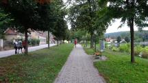  Blick auf die Wanderstrecke entlang des Schlossteichs 