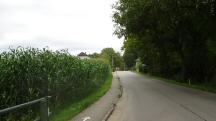 Wanderroute entlang der Herzogenburger Straße 
