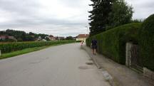  Wanderroute entlang der Straße "Am Sandbühel" 