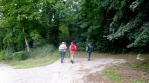  Blick auf die Wanderstrecke 