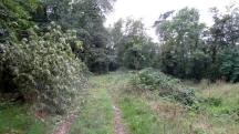Wanderroute durch die Waldriede "In der Reidling" 