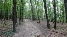 Wanderroute durch die Waldriede "In der Reidling" 