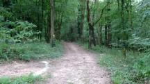  Blick auf die Wanderstrecke am Reidlingberg 