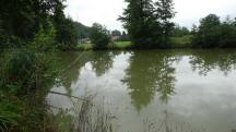  Blick zu einen Fischteich bei der Labestelle 
