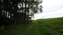  Blick auf die Wanderstrecke 