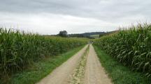  Blick auf die Wanderstrecke 