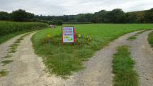 Blick auf die Wanderstrecke bei der 2. Streckenteilung 