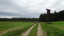  Blick auf die Wanderstrecke 