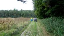  Blick auf die Wanderstrecke 