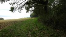  Blick auf die Wanderstrecke zum Hühnerbühel 