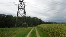  Blick auf die Wanderstrecke zum Hühnerbühel 