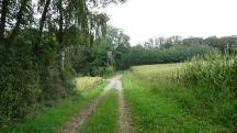  Blick auf die Wanderstrecke 