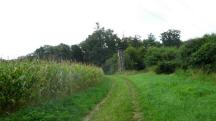  Blick auf die Wanderstrecke 