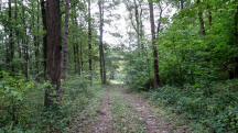  Blick auf die Wanderstrecke 