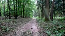  Blick auf die Wanderstrecke 
