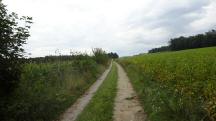  Blick auf die Wanderstrecke 