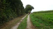  Wanderroute auf den Birkenweg 