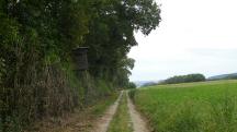  Wanderroute auf den Birkenweg 