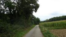  Wanderroute auf den Birkenweg 