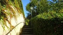  Wanderroute auf dem Salessteig 